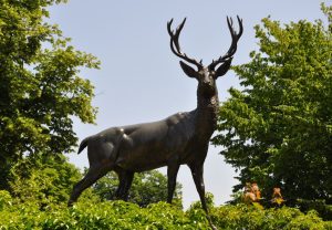 Le Cerf