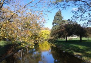petite rivière_r