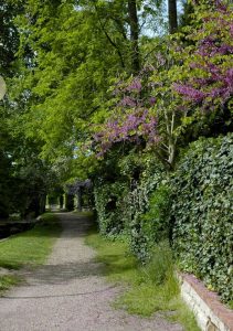 promenade_r